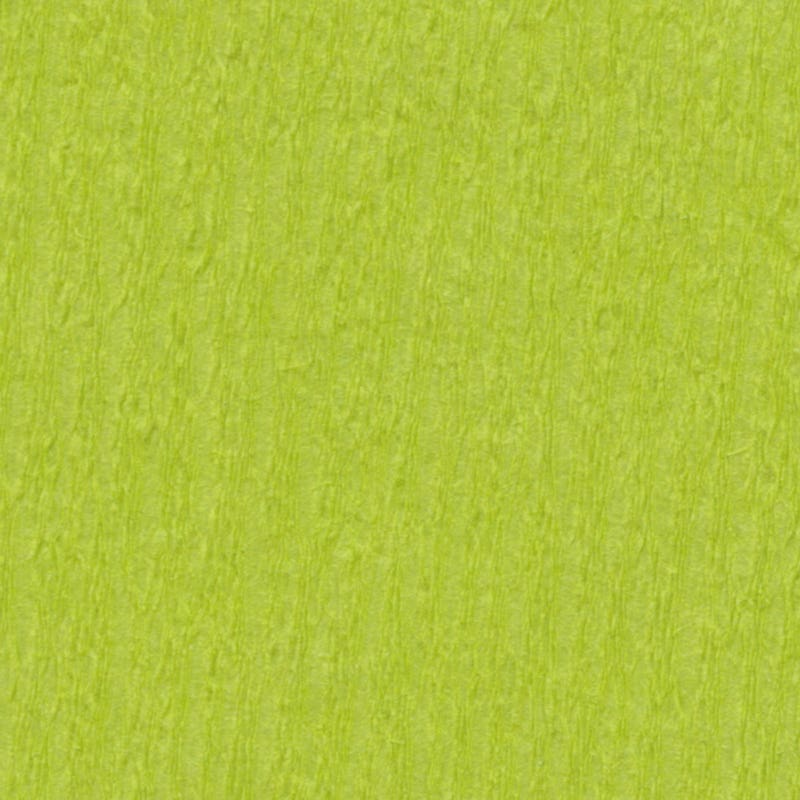 Crepe Paper 50x250cm Pack of 10 w/ Fold - Light Green image