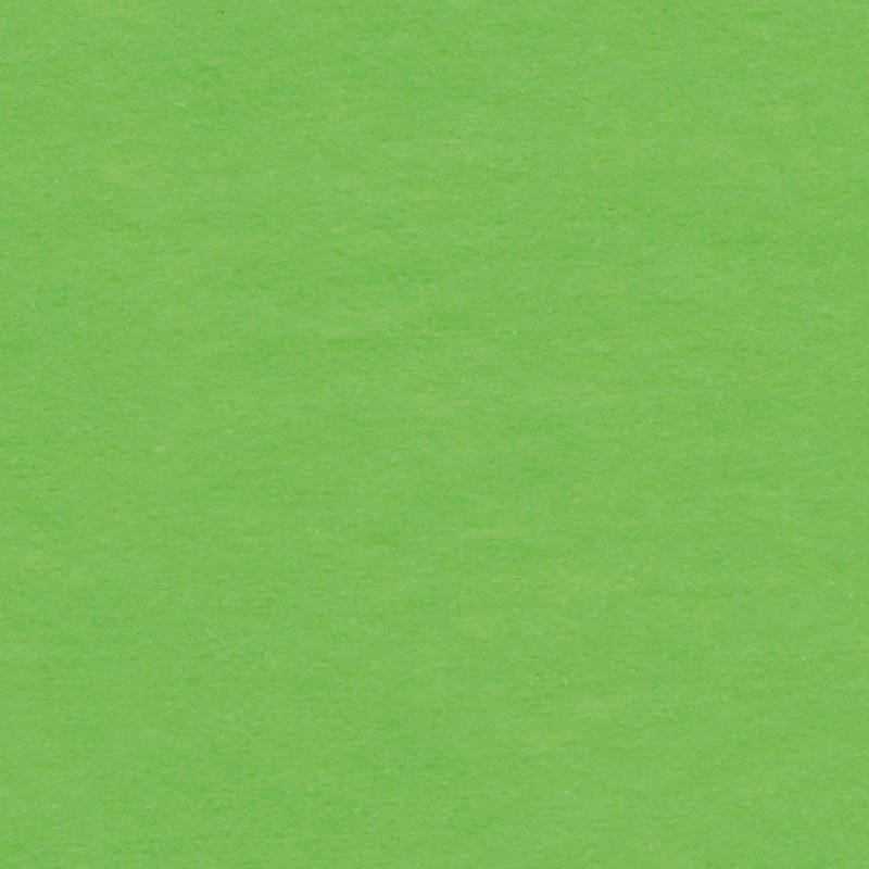 Japanese Silk Paper 50x70cm 25 Sheets w/ Fold - Light Green image