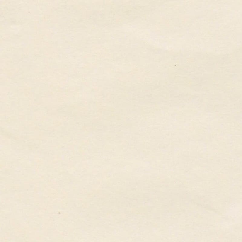 Japanese Silk Paper 50x76cm 24 Sheets w/ Fold - Light Baby Yellow image