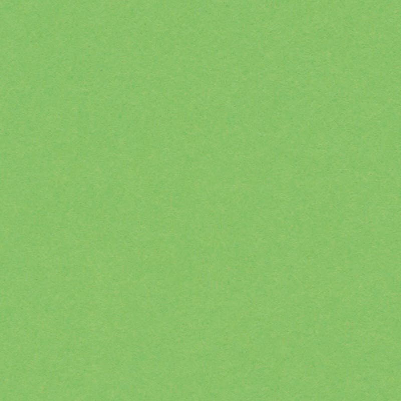 English Cardboard 50x65cm 1 Sheet - 160 g - Light Green image