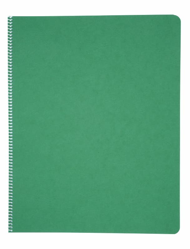 Literacy Main Lesson Books - Green image