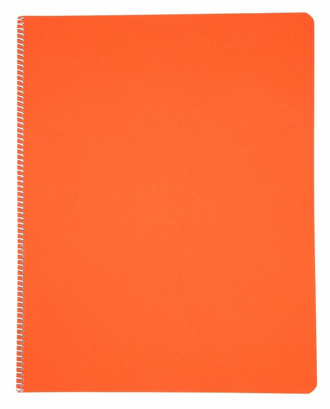 Literacy Main Lesson Books - Orange image