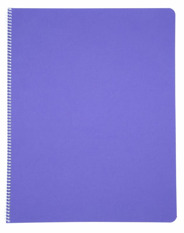 Literacy Main Lesson Books - Purple image