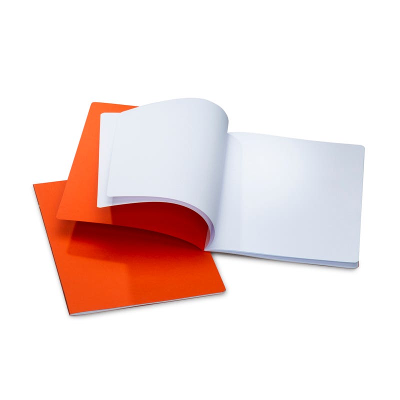 MLB 32x24cm Portrait Format w/ Onion Skin Pack of 10 - Orange image