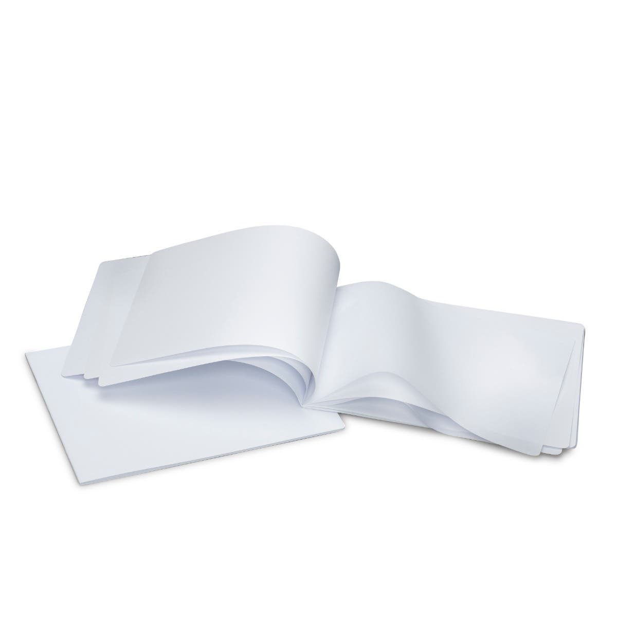 MLB 32x24cm Portrait Format w/ Onion Skin Pack of 10 - White image