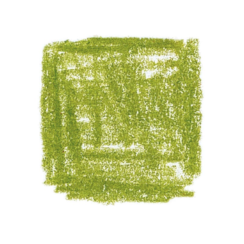 Caran d'Ache Pencils Supracolour Watercolour Box of 12 - Light Olive Green image