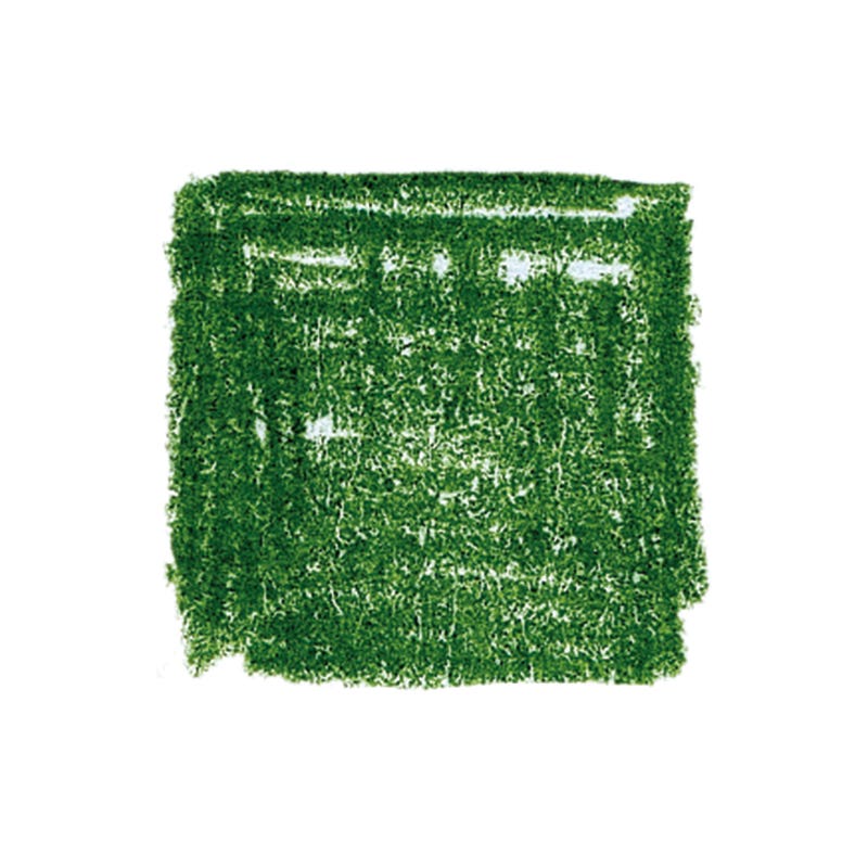 Lyra Pencils Rembrandt Polycolour Box of 12 - Moss Green image
