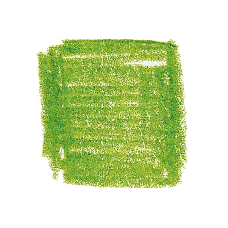 Lyra Pencils Rembrandt Polycolour Box of 12 - Apple Green image