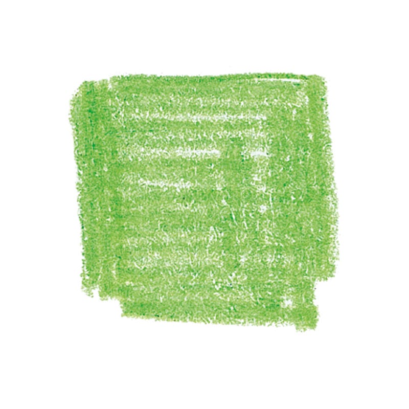 Lyra Pencils Rembrandt Polycolour Box of 12 - Light Green image