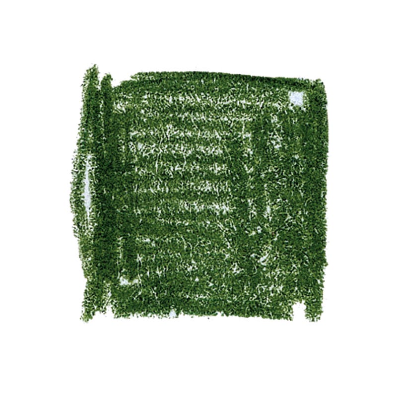 Lyra Pencils Rembrandt Polycolour Box of 12 - Cedar Green image