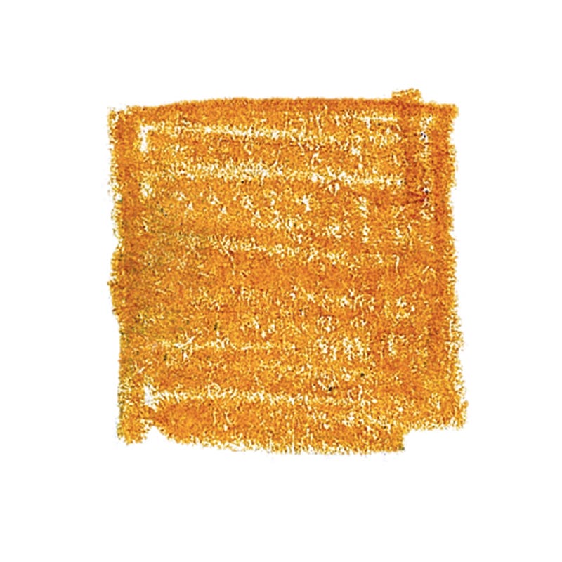 Lyra Pencils Rembrandt Polycolour Box of 12 - Gold Ochre image