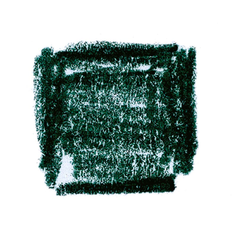 Lyra Pencils Rembrandt Aquarelle Box of 12 - Juniper Green image