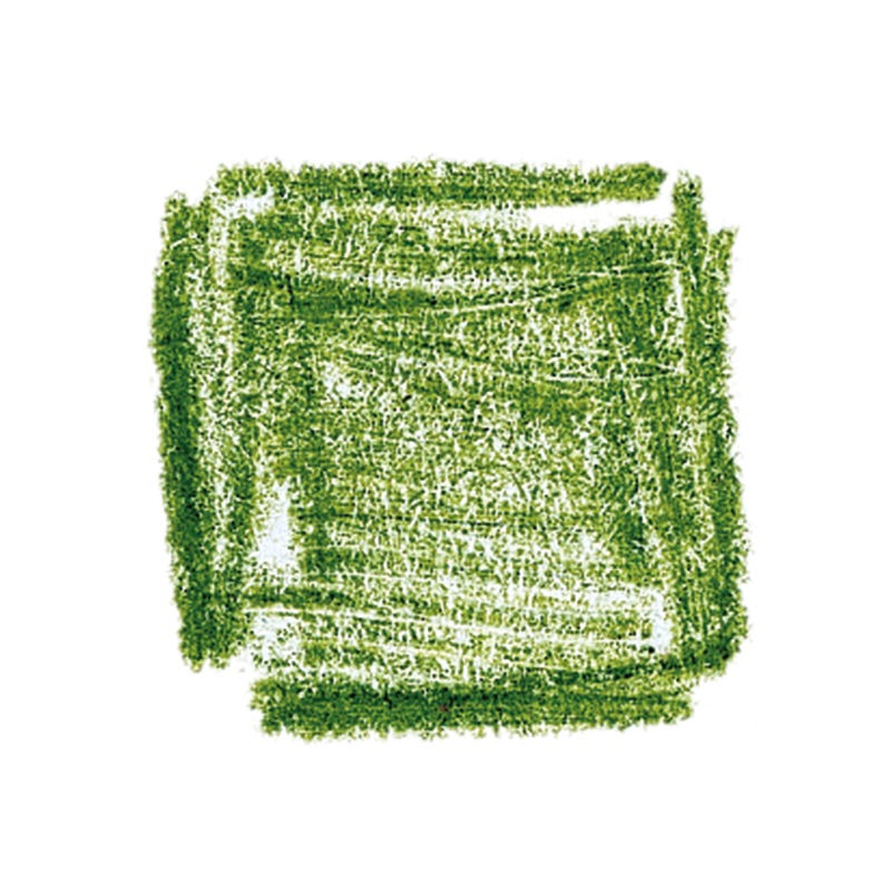 Lyra Pencils Rembrandt Aquarelle Box of 12 - Moss Green image