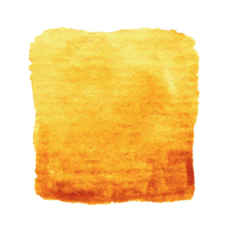 Artemis Plant Pigment Paste 50 ml - Kamala Orange image