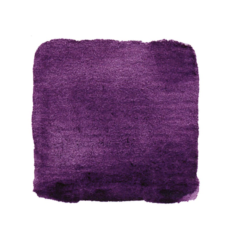Artemis Plant Pigment Paste 50 ml - Indigo Purple image
