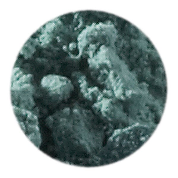 Artemis Plant Pigment Powder 50 ml - Leaf Green image