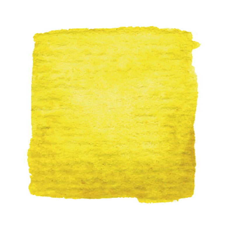 Artemis Plant Pigment Paste 25 ml - Buckthorn Berry (Gold Yellow) image