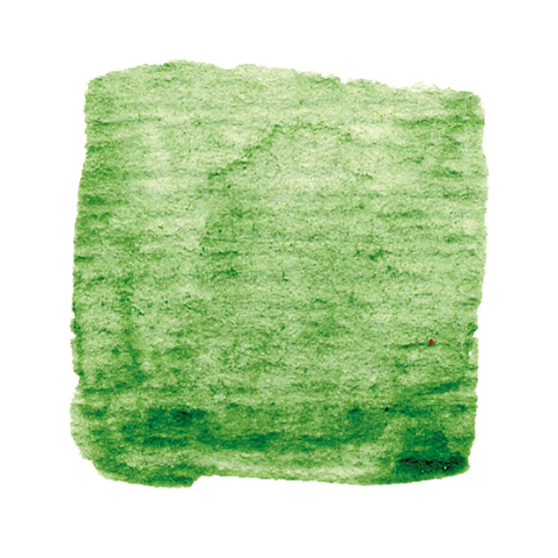 Artemis Plant Pigment Paste 25 ml - Leaf Green image