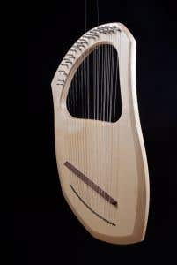 Auris Lyre LSK Chromatic Lyre - 30 String