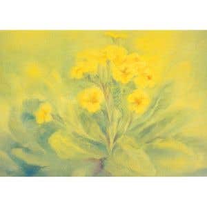 Marjan van Zeyl Postcards - Primrose