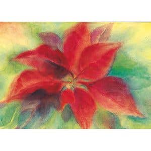 Marjan van Zeyl Postcards - Christmas Flower