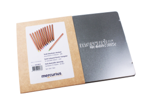 Yorik Colour Pencils Triangular Metal Case - 12 Assorted colours